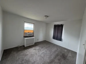 14th Floor Apartment in Hamilton